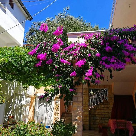 Apartmani Leon Biograd Na Moru Eksteriør bilde