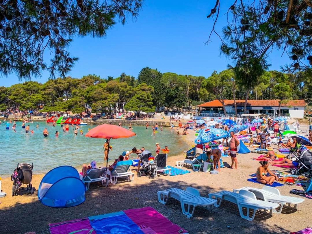 Apartmani Leon Biograd Na Moru Eksteriør bilde