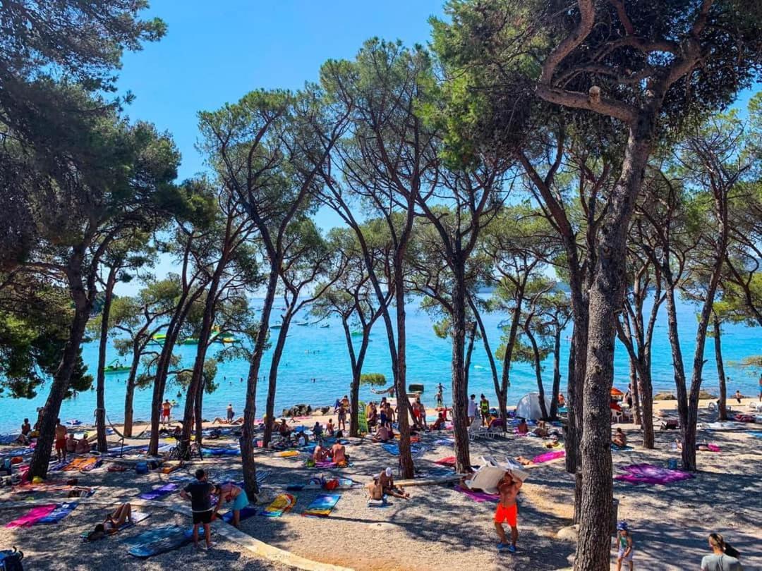 Apartmani Leon Biograd Na Moru Eksteriør bilde